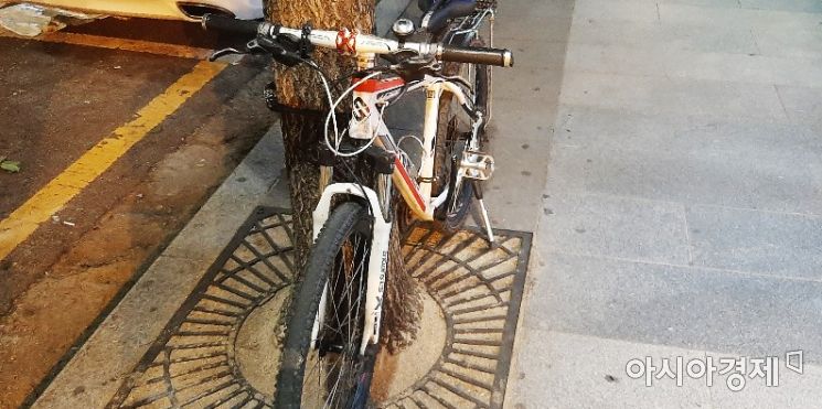 서울 한 번화가 인도에 있는 가로수에 누군가 자물쇠를 이용해 자전거를 보관하고 있다. 사진=한승곤 기자 hsg@asiae.co.kr