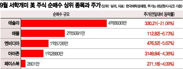 테슬라 폭락으로 패닉에 빠진 '서학개미'
