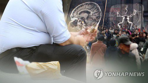 비만·흡연자도 신종 코로나바이러스 감염증 감염확률이 높거나 중증 악화 위험이 큰 것으로 나타났다. 사진=연합뉴스