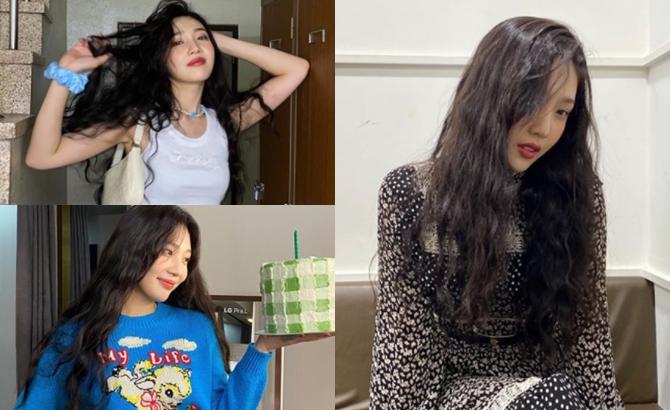 라면 면발처럼 탱글탱글, 탐스러운 파마[라이킷]