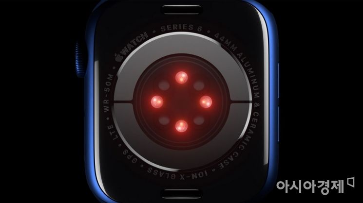 블루 입은 애플워치6, 30만원대 '애플워치SE' 출격