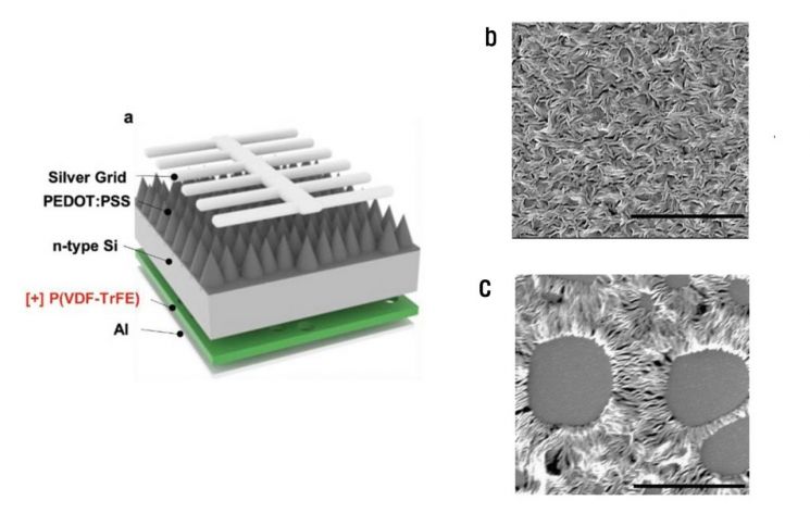 물 첨가 분리막으로 '태양전지' 가격 낮춘다