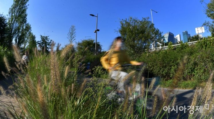 [포토] 가을 라이딩 즐기는 시민들