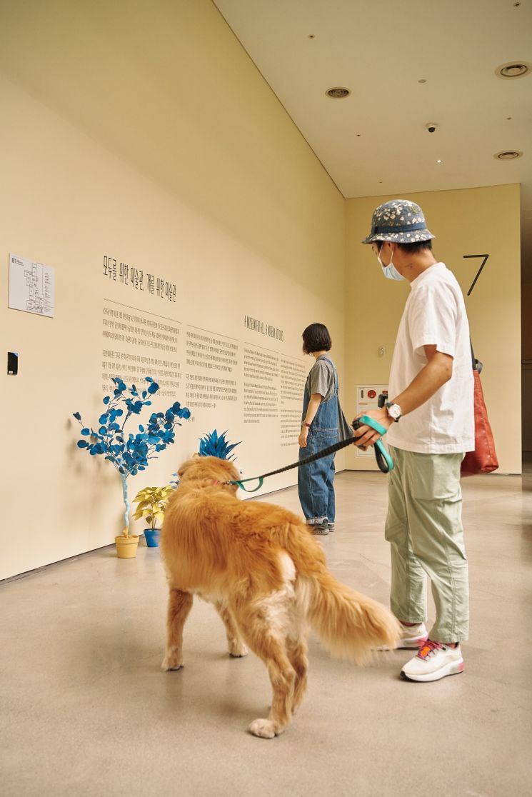 국립현대미술관 '모두를 위한 미술관, 개를 위한 미술관' 전시 전경  [사진= 국립현대미술관 제공]