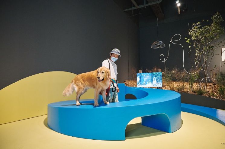 개와 함께 관람 가능, 국립현대미술관 '모두를 위한 미술관…'展 온라인 개막