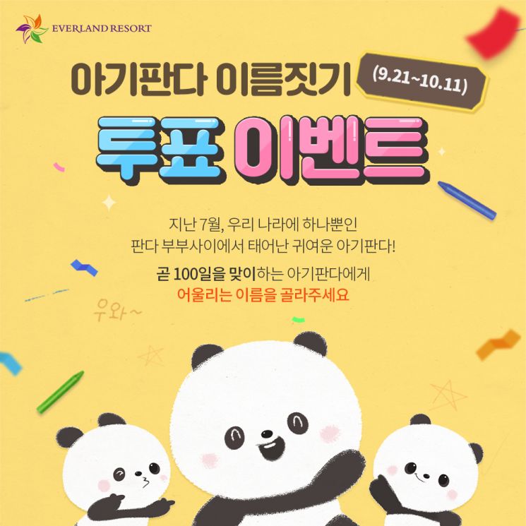 아기 판다 이름 공모 이벤트 안내문