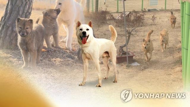 사진=연합뉴스