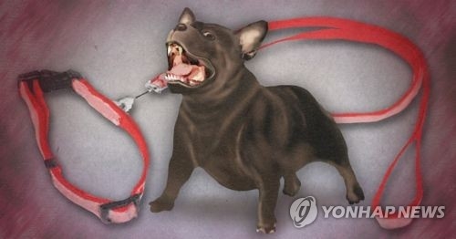 사진=연합뉴스