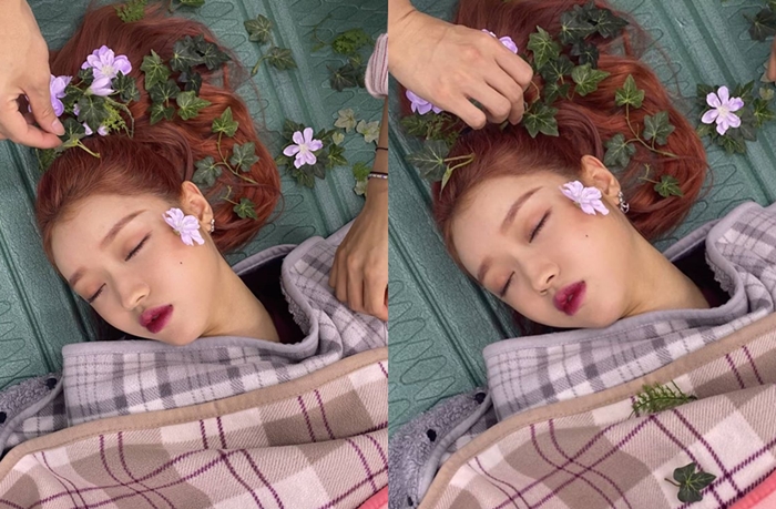 '숲의 아이' 된 유아 머리에 나비가 팔랑팔랑