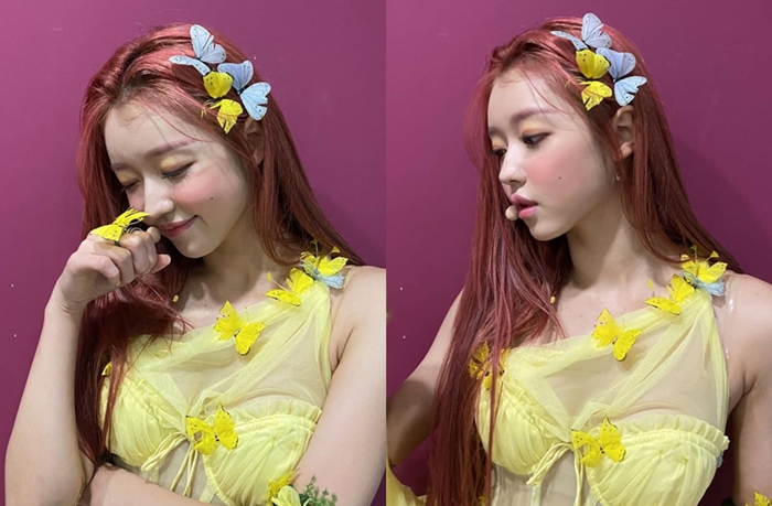 '숲의 아이' 된 유아 머리에 나비가 팔랑팔랑