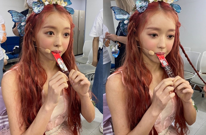 '숲의 아이' 된 유아 머리에 나비가 팔랑팔랑