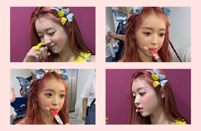 '숲의 아이' 된 유아 머리에 나비가 팔랑팔랑