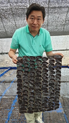 대양에스씨 이승환 대표가 김 종자 배양망을 설명하고 있다 / ⓒ 아시아경제