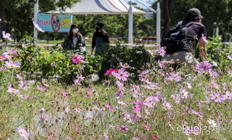 [포토]가을의 시작