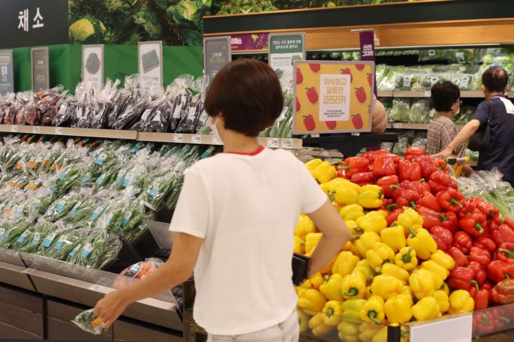 27일 한국농수산식품유통공사에 따르면 배추·상추·열무 등 우리 여름 식탁을 채우는 주요 채소들의 가격은 평년 대비 최대 2배 이상 폭등했다. / 사진=연합뉴스