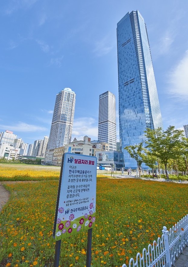 부산시 남구 문현금융단지에 한국주택금융공사가 조성한 ‘HF 보금자리 꽃밭’. 코스모스가 만개해 있다.