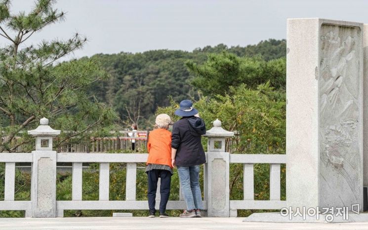 경기 파주 임진각을 찾은 방문객이 북녘을 바라보고 있다./파주=강진형 기자aymsdream@