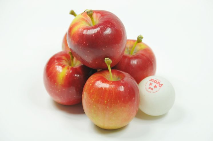 2021 대한민국 과일산업대전에서 상주 사과가 최우수상을 받았다. 사진은 출품 사과와 같은 품종인 루비에스이다.