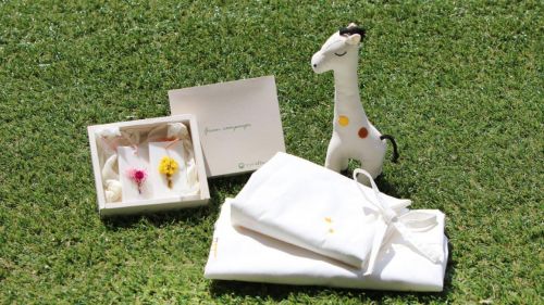 롯데호텔 제주, '친환경 투숙' 그린 스테이 패키지 첫선