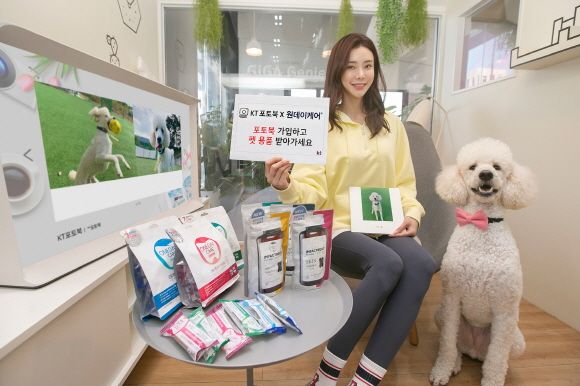 "반려동물 용품 쏜다" KT, ‘펫북’ 이벤트 진행