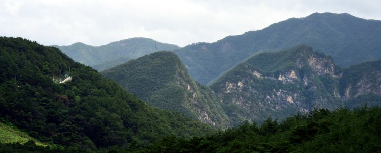깊고 깊은 산을 넘어 왼쪽으로 보이는 저 도로를 넘어서면 정선연포마을에 가 닿는다
