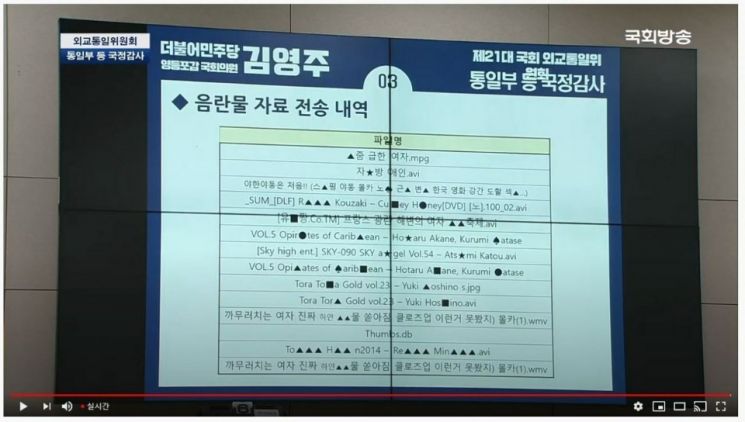 업무용 컴퓨터에 '야동' 한가득 민주평통