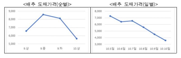 배춧값 안정세 돌입…포기 당 3604원