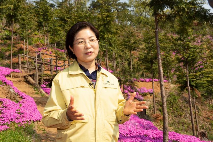 은평구, 서울시 최초 '치유의 숲' 편백나무 힐링숲 조성