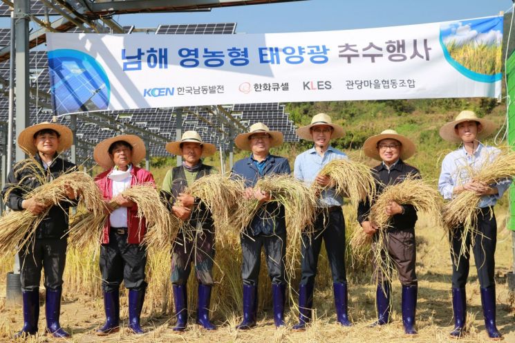한화큐셀, 경남 남해 영농형 태양광 농지서 추수식 진행