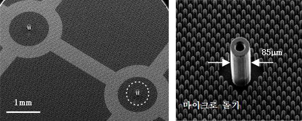 (가)는 폴리머 초미세 노즐 어레이 사진이다. (나)는 초미세 노즐 어레이를 확대한 사진으로, 외경 85μm, 내경 40μm, 높이 150μm의 폴리머 초미세 노즐과 주변의 마이크로 돌기를 자세히 볼 수 있다.