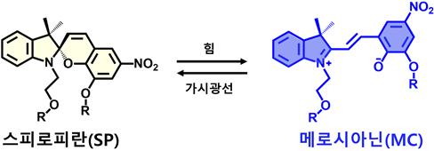 스피로피란(SP) 분자 센서의 화학적 구조 및 힘에 반응해 메로시아닌으로의 변환을 보여주는 그림