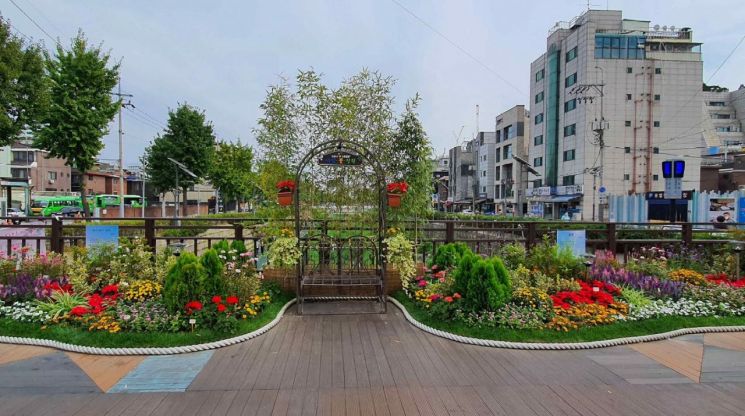 성북천 꽃길서 가을산책 즐기세요~~~