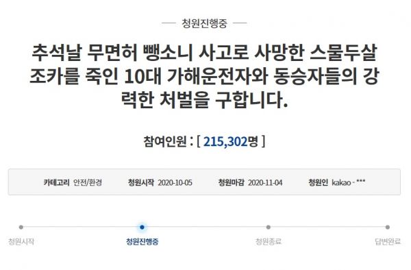 "무면허 뺑소니 사고 강력 처벌해달라" 청소년 렌터카 사각지대