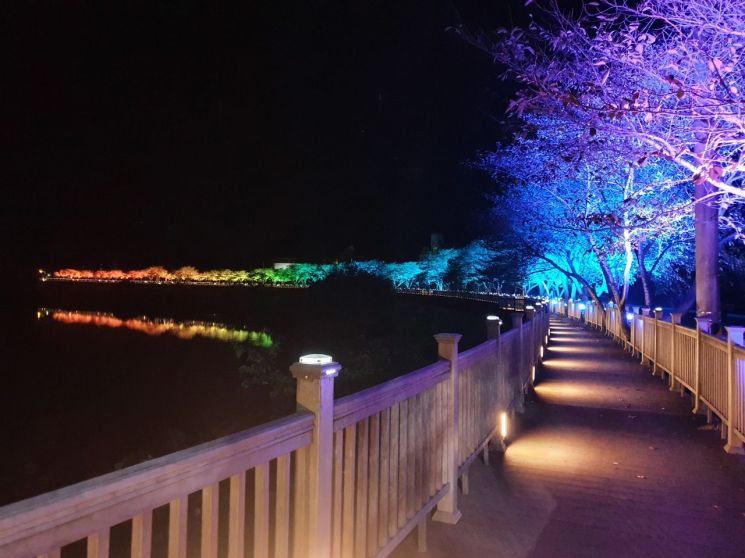 합천 산책로에 다양한 색상과 패턴의 LED 조명이 시범 설치해 있다 (사진=합천군)