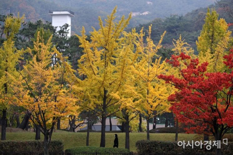 [포토]울긋불긋 가을 단풍 