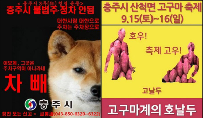 김선태 주무관이 제작한 충북 충주시의 홍보물./사진=온라인 커뮤니티