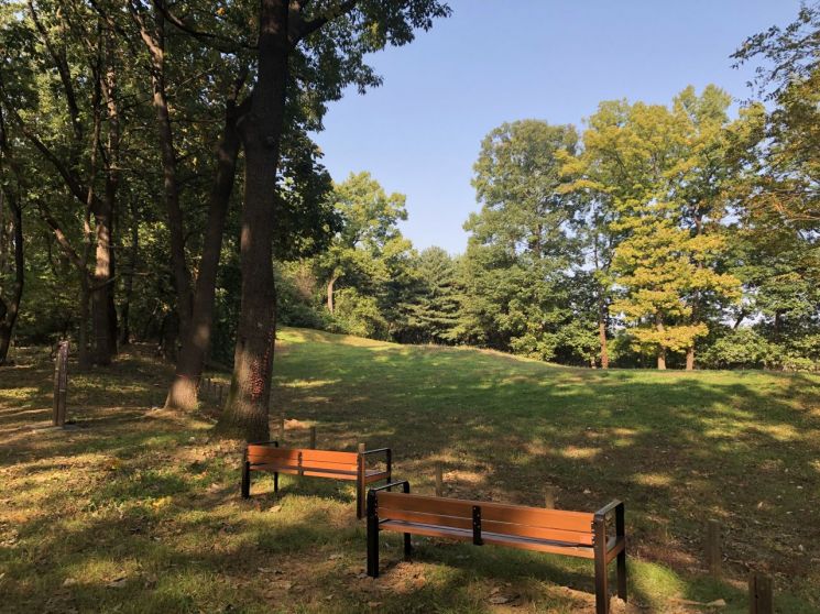 조선왕릉 숲길 오늘 추가 개방