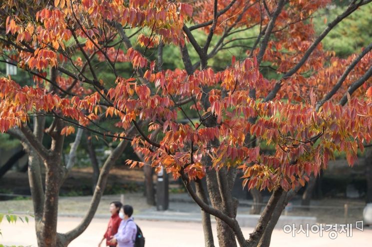 [포토]화사한 가을 산책 
