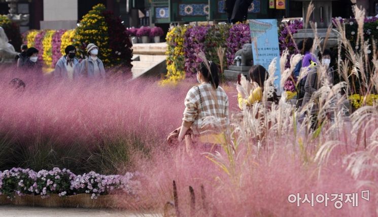 선선한 가을 날씨를 보인 26일 서울 종로구 조계사를 찾은 시민들이 국화로 꾸며진 '제10회 조계사 국화향기 나눔전'을 관람하고 있다.