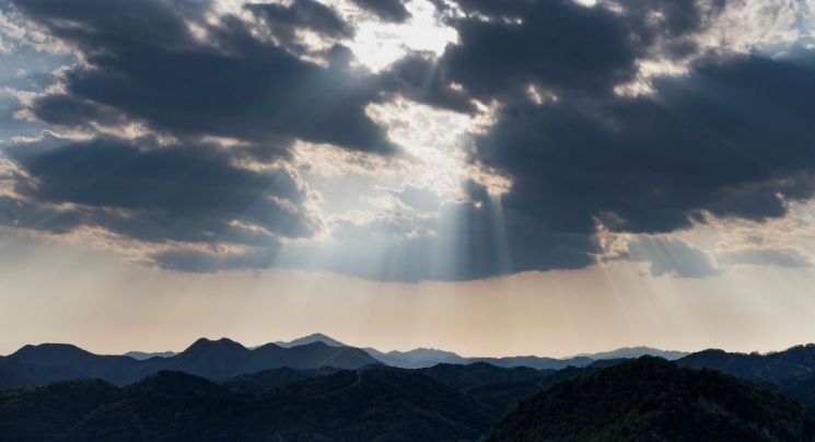 동덕여대 이민주 교수 사진전 '자연 속으로' 개최
