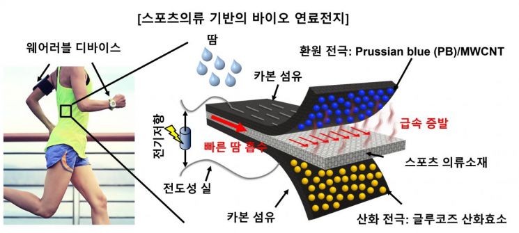땀에서 전기 뽑는다.. 바이오 연료전지 개발