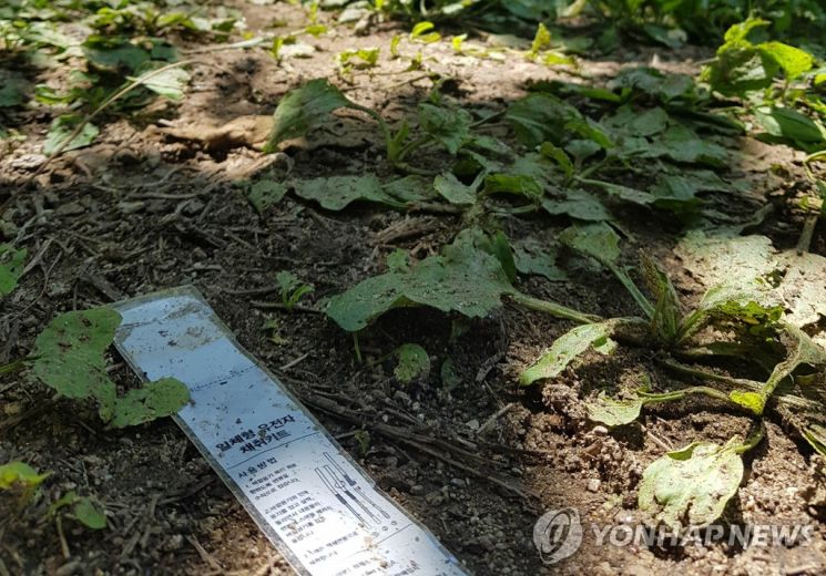 '묻지마 살인' 사건이 일어난 인제 등산로 입구 [이미지출처=연합뉴스]
