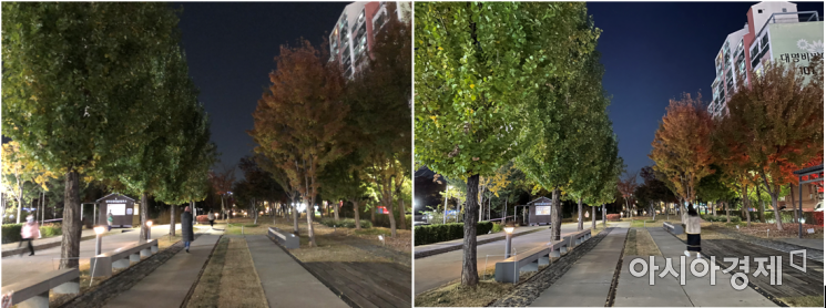 야간촬영 모드가 지원되지 않는 아이폰X(왼쪽)과 아이폰12(오른쪽)의 결과물은 확연히 차이가 난다. 아이폰12에서는 전후면 카메라에 야간모드가 적용돼 나뭇잎부터 하늘, 인물까지 더 선명하고 밝게 표현된다.