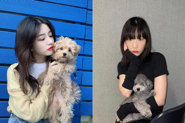 사진=이유비, 태연 인스타그램