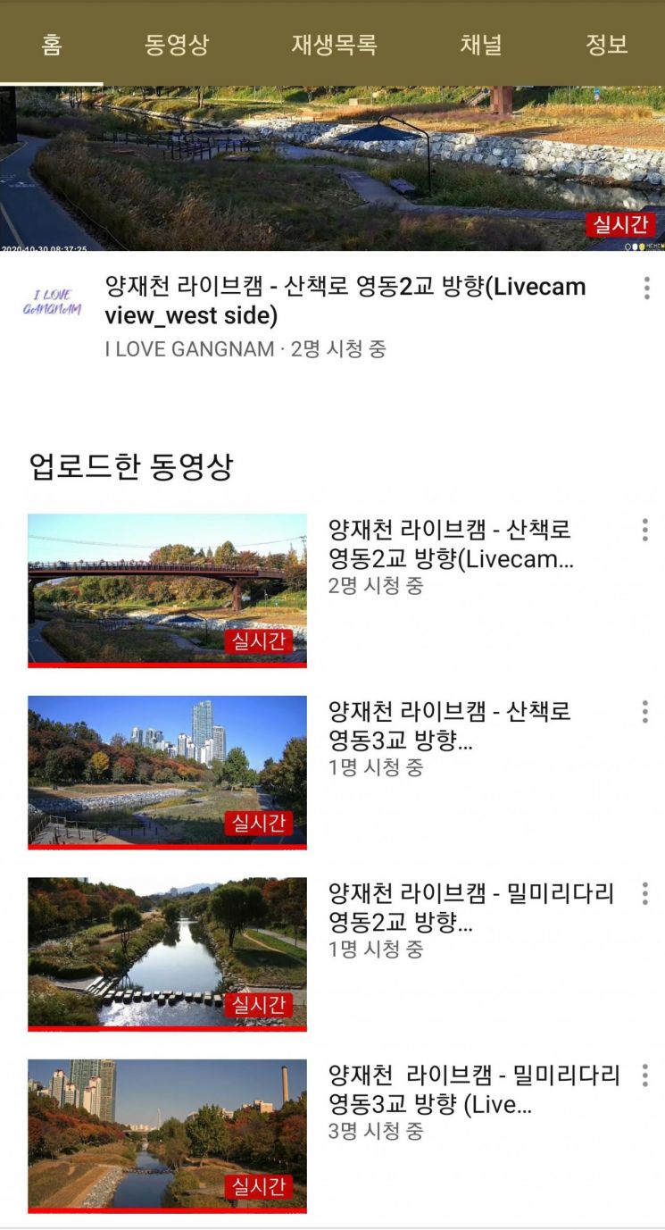 양재천 가을 풍경 유튜브에서 즐긴다
