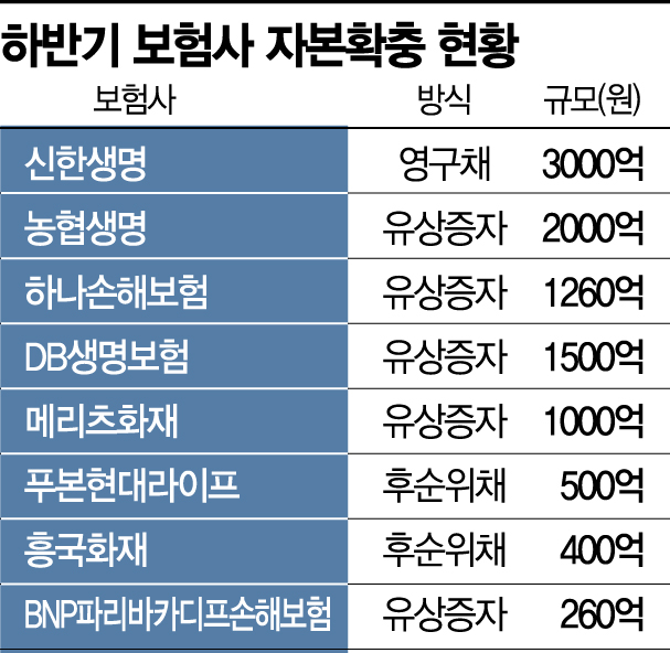 보험사 올해 2조 자본 마련…건전성 강화 '올인'