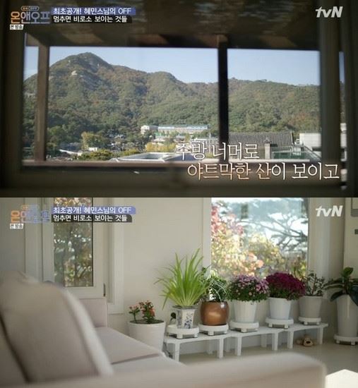 "연예인일 뿐, 석가모니 몰라"…현각 스님, '건물주 논란' 혜민 스님 저격