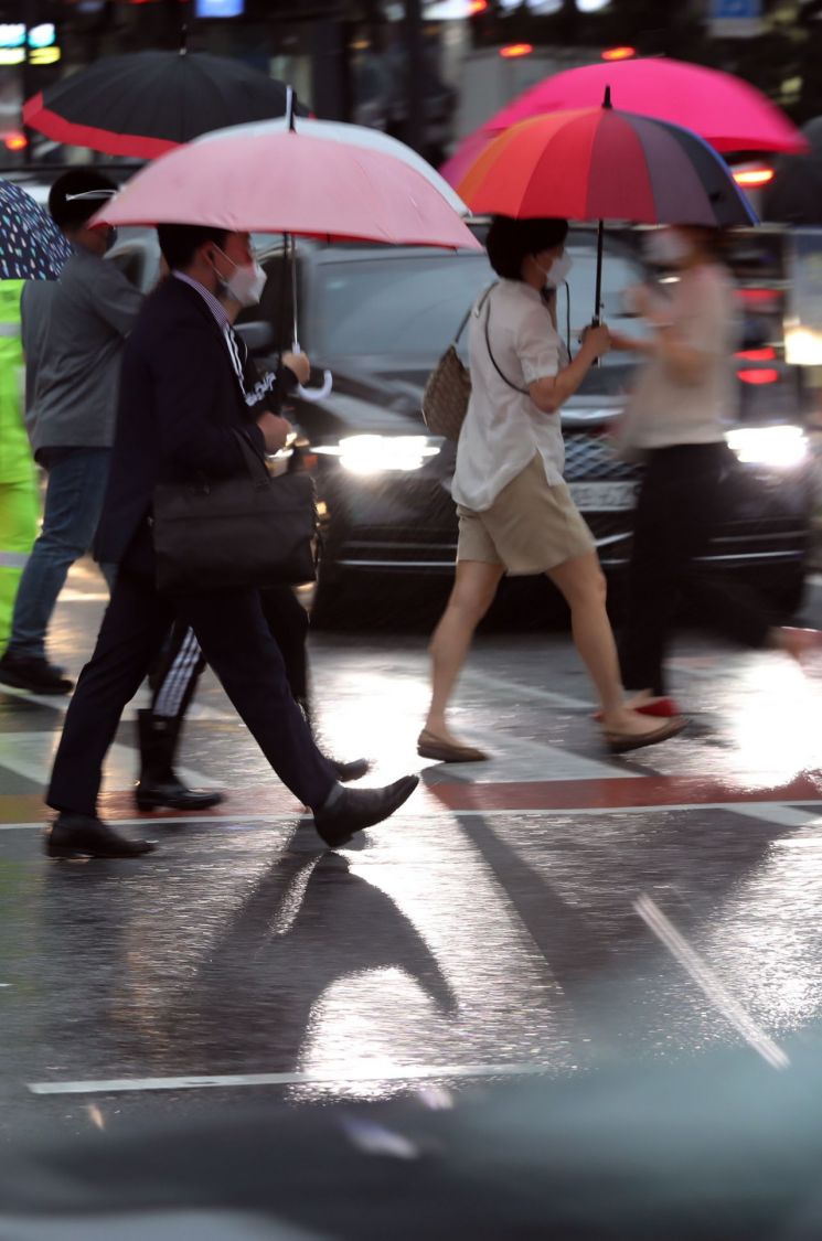 [참트루?] 무단횡단 처벌… 한국만 '솜방망이'라고?