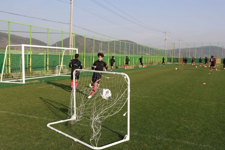 "스포츠 선수 성폭력 방지·인권 보호"…정부, 표준계약서案 마련 