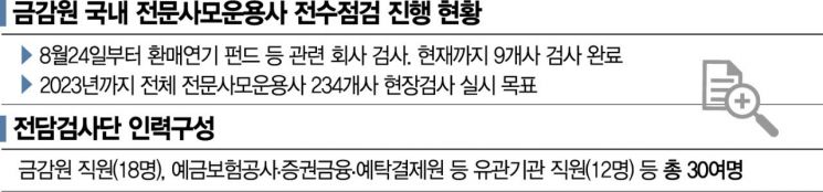 금감원, 내주 사모운용사 전수조사 중간 발표